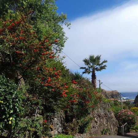 Paraiso Resiliente 桑塔纳 外观 照片