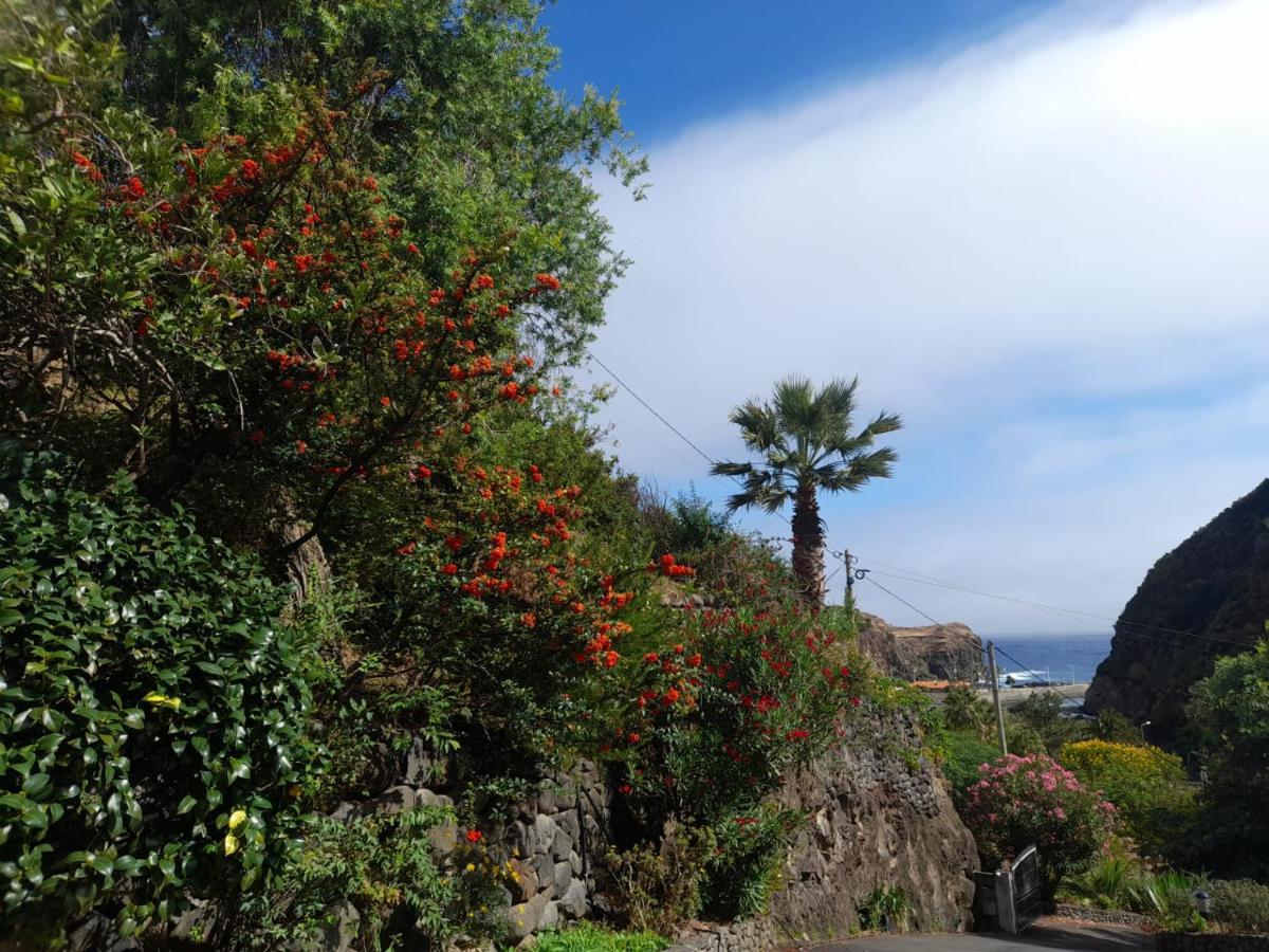 Paraiso Resiliente 桑塔纳 外观 照片