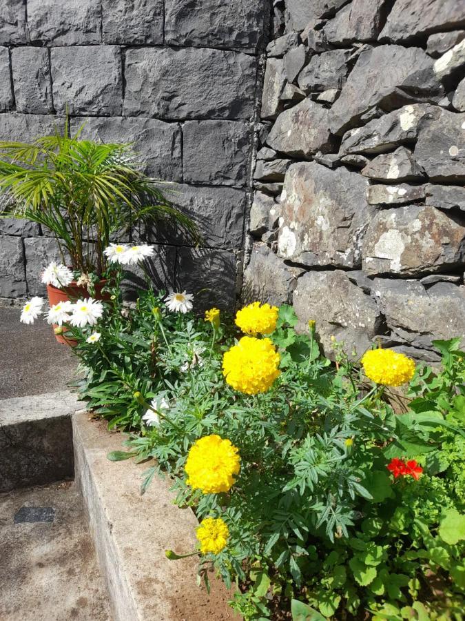 Paraiso Resiliente 桑塔纳 外观 照片