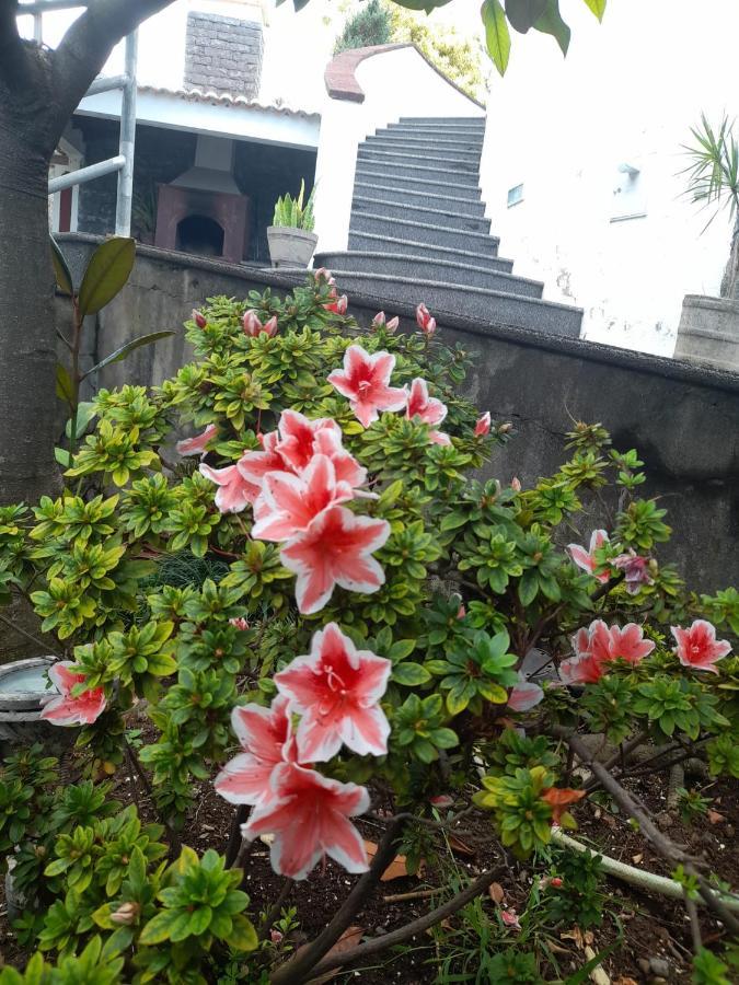Paraiso Resiliente 桑塔纳 外观 照片